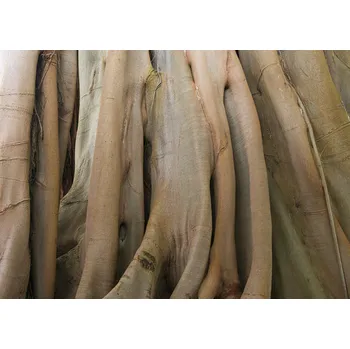 Fototapeta Vliesová fototapeta na zeď Rasch 363791, Magic Walls, 3,71 x 2,65 m (7 pruhů o šíři 53 cm)