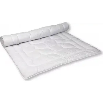 přikrývka Přikrývka ANTI ALERGIC - Dětská 430g 90x130 cm