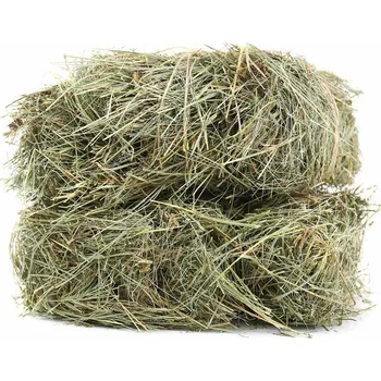 Krmivo pro hlodavce PROFIZOO Seno Luční prosévané 1200l (druhá seč 2025 - Otava)