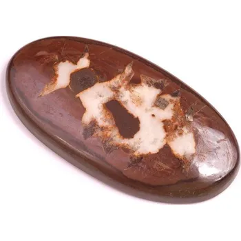 Korálek Kabošon Septarian č.309 (41x22mm)