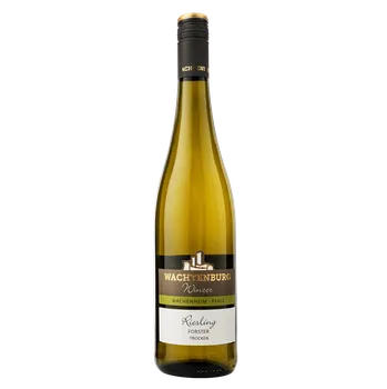 Riesling Forster 2023, suché, Wachtenburg