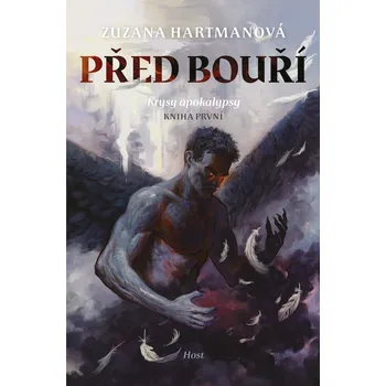 Kniha Před bouří