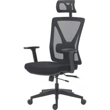 DELSO Kancelářská židle KOLINN černá