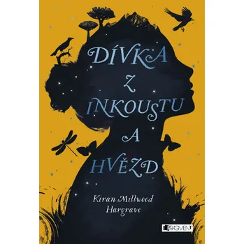 Kniha Dívka z inkoustu a hvězd