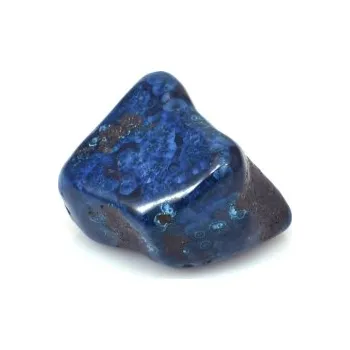 Quantum quattro AA / 6171