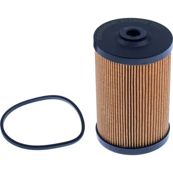 Filtr do auta Palivový filtr DENCKERMANN A129049