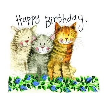 Narozeninové přání se třemi kočkami - design Alex Clark