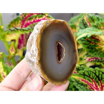 Sběratelství Achát hnědý geoda s dutinkou 200g (Brazílie)