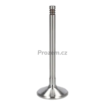 Ventil Sací ventil pro Hatz, 00004091002, 000004091002, 000004091001