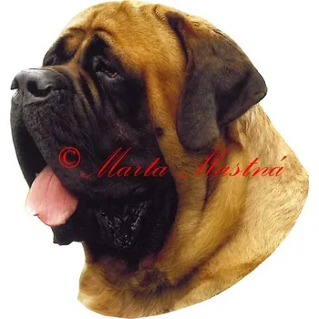 Samolepka mastif - archiv 126