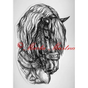 Samolepka chladnokrevník, norik, kůň, koně c413 - Malá - přibližně jako pohlednice