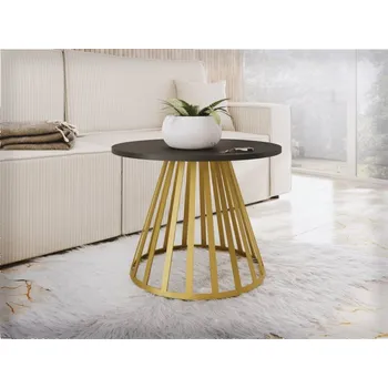 Konferenční stolek Ogirute Mini, Barva:: zlatá / černá MIRJAN 5903211362699