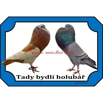 Chovatelství Cedulka holub český stavák dvojice - Se samolepicí vrstvou