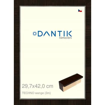 Obraz DANTIK Rámeček na jednu fotku 42 x 29,7 cm