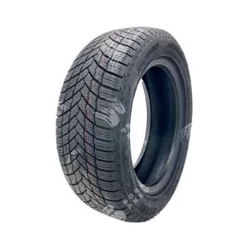Zimní osobní pneu Pneumatiky OTANI WE1000 195/65 R15 91H