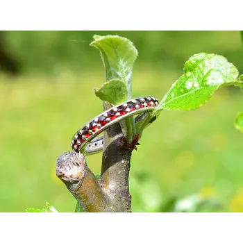 Prsten Stříbrný prsten český granát Georgina - 63, Rhodiování