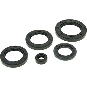 Naraku Gufera motoru Pantheon 2T - sada NK167.14