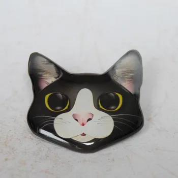 Brož Petra Truszyková Brož - kočka výkuk