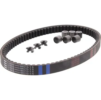 Motor pro motocykl Piaggio Servisní sada variátoru Piaggio 125 1R000430