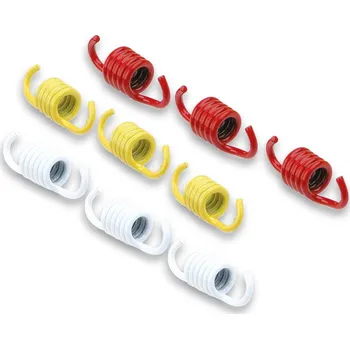 Malossi Spojkové pružinky 3 x 3ks 2912536