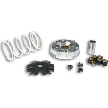 Auto-moto Malossi Variátor Multivar 50cc Q4T 5113139