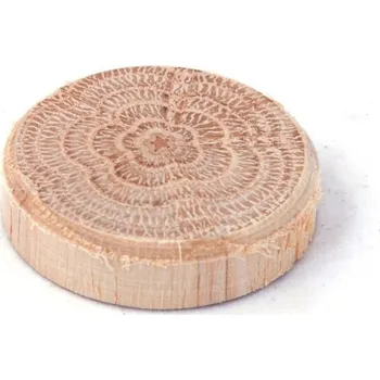 Plotový sloupek Dubové suky (větev), 30 x 7 mm, 10 ks