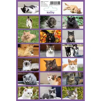 samolepka Samolepky Kočky 17x25 cm 307007