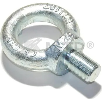 Šroub Šroub závěsný DIN 580 jemný závit MTR Varianta: Šroub závěsný DIN 580 (jemné stoupání) M20x2 Zn