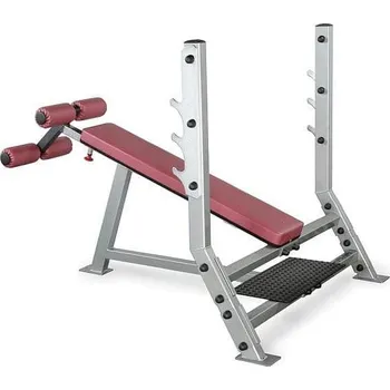 Posilovací lavice Zakloněná posilovací lavice Body-Solid SDB-351G