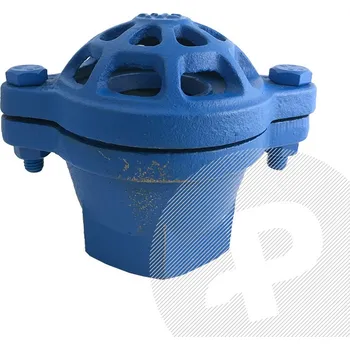 Příslušenství k čerpadlu KOVOPLAST | DOPRODEJ - Sací koš SK 321 6/4" 10015