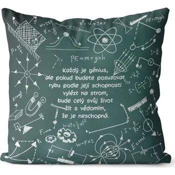 Dekorativní polštářek Polštář Každý je génius (Velikost: 40 x 40 cm)