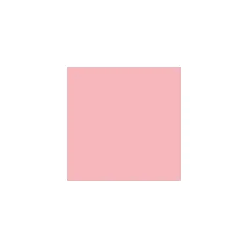 Dámské spodní prádlo Dámské kalhotky - ANDRIE PS 2799, vel. M-XXL Barva: Růžová, Velikost: 46/48-XL