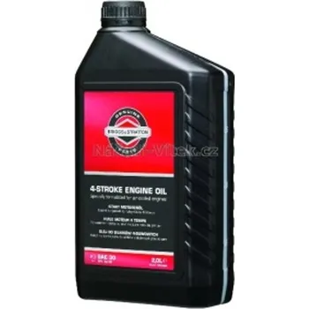 Motorový olej Motorový olej čtyřtaktní Briggs & Stratton SAE30 (5,0 L)