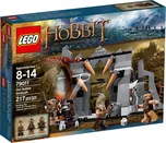 LEGO Hobbit 79011 Přepadení Dol Gulduru