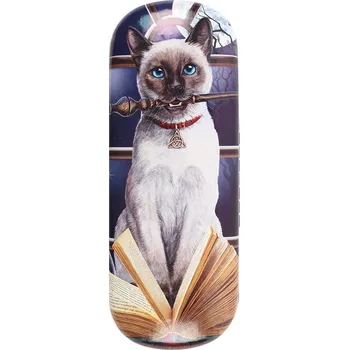 Pouzdro na brýle Pouzdro na brýle s kočkou kouzelnicí - design Lisa Parker