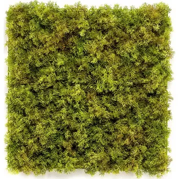 umělá květina Umělý stabilizovaný islandský mech DELUXE, 50 x 50cm