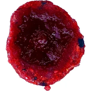 Boilies LK Baits CUC! RAISIN Lesní Jahoda 50g