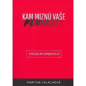Kam miznú vaše peniaze/Cvičebnica nového života - Martina Valachová