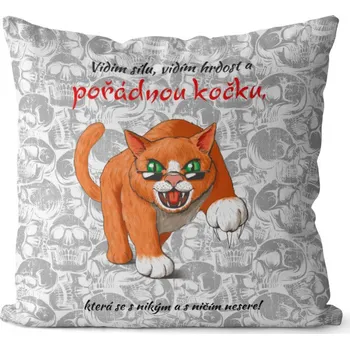 Dekorativní polštářek Polštář Pořádná kočka (Velikost: 40 x 40 cm)
