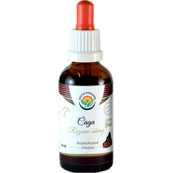 Přírodní produkt Salvia Paradise Čaga Rezavec šikmý AF tinktura 50 ml