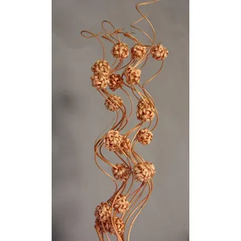 Curly ting with ball lososová