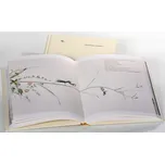 O čem sní mravenec - Cung-wej Čou (2020, pevná)