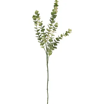 umělá květina Umělá rostlina Eukalyptus Stem 82cm Present Time (Barva-zelená)