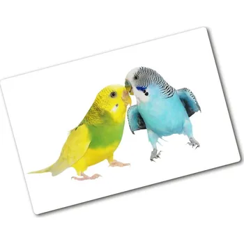 Kuchyňské prkénko Kuchyňská deska skleněná Andulky