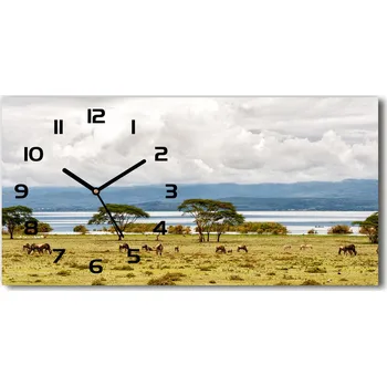 Hodiny Skleněné hodiny na stěnu Jezero Naivasha
