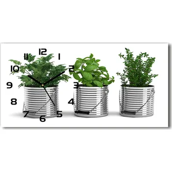 Hodiny Skleněné hodiny na stěnu Aromatické rostliny