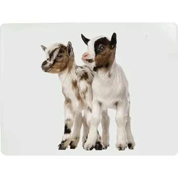 prostírání 4ks pevné korkové prostírání kůzlátka - 30*40*0,4cm