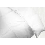 Olzatex Prošívaná přikrývka péřová bílá…