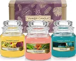 Yankee Candle Classic The Last Paradise…