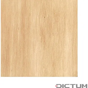 Lak na dřevo Dictum 810185 - DICTUM® Spirit Stain, 250 ml, Antique Pine - Mořidlo